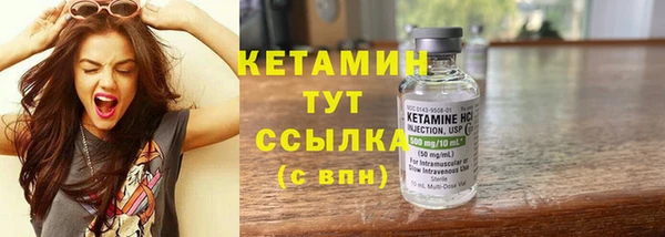 хмурый Аркадак