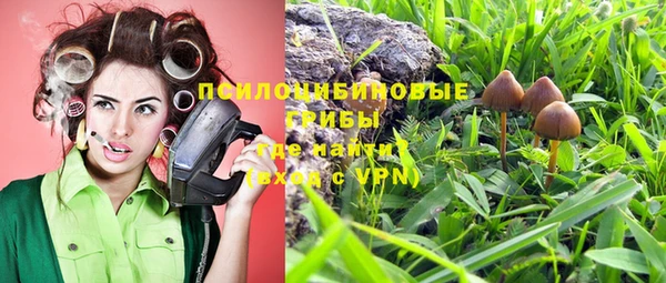 соль курить ск Алексеевка