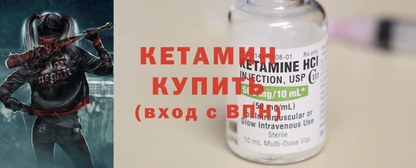 хмурый Аркадак
