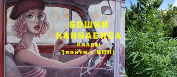 хмурый Аркадак