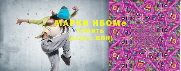 хмурый Аркадак