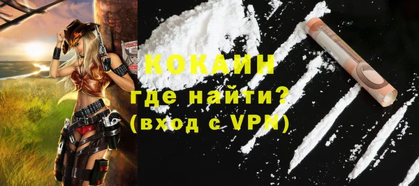 прущие грибы Арсеньев
