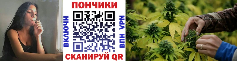 Марихуана Amnesia  закладка  Чапаевск 